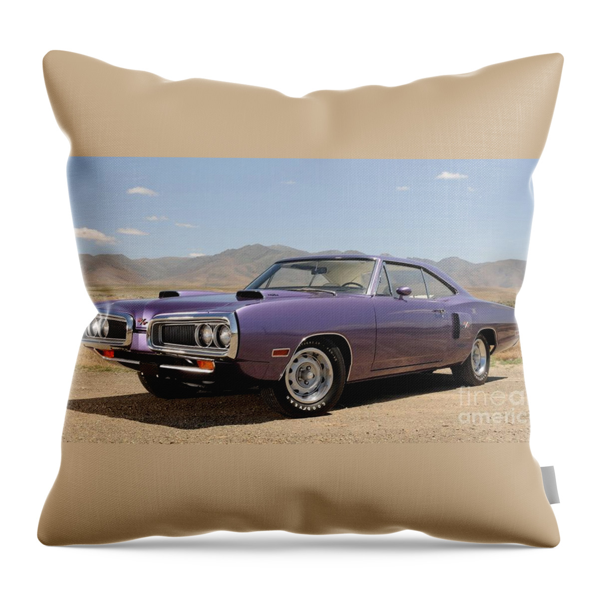 Vintage Throw Pillow featuring the photograph Road Runner by Action