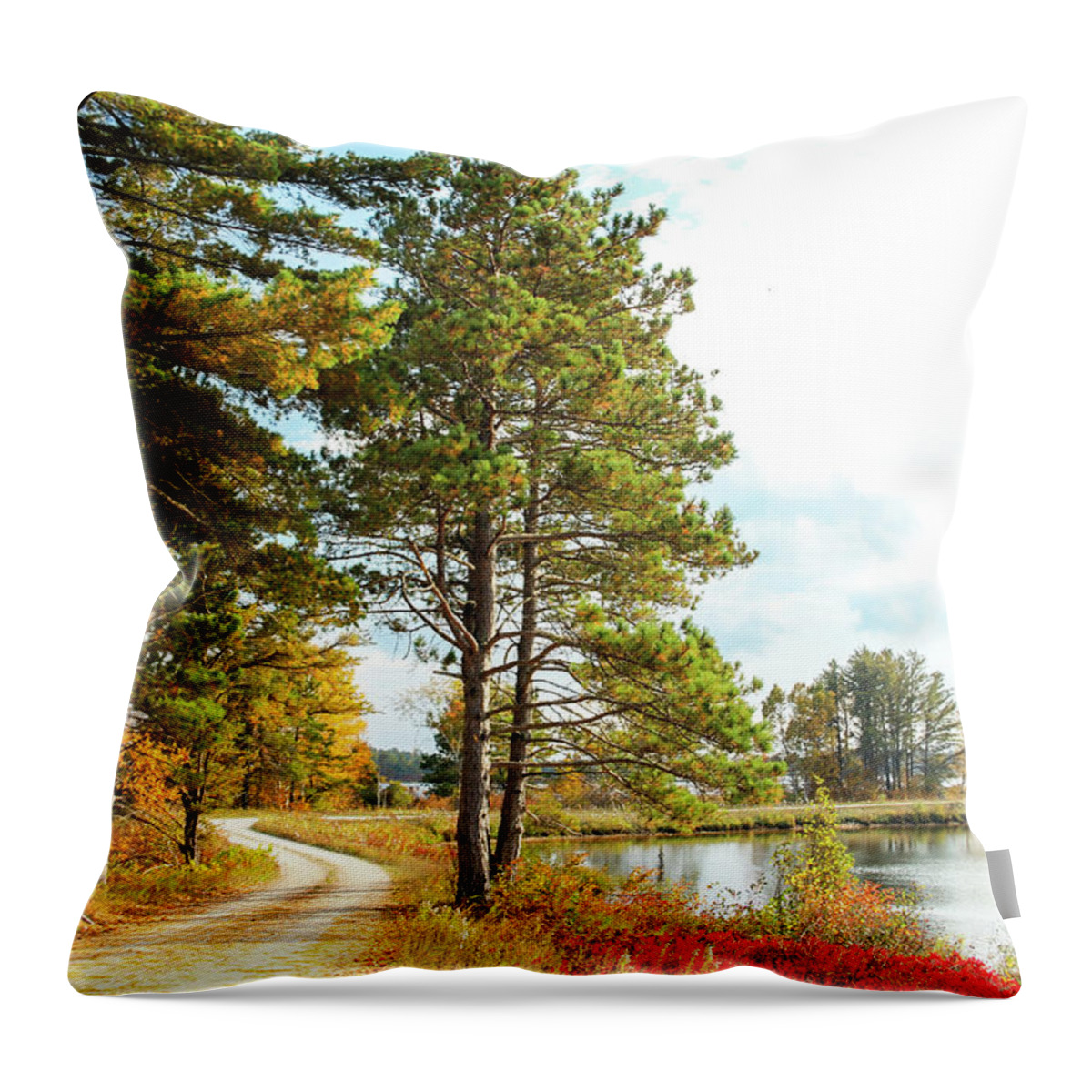 Seney National Wildlife Refuge Throw Pillow featuring the photograph Road Through the Wildlife Refuge by Robert Carter