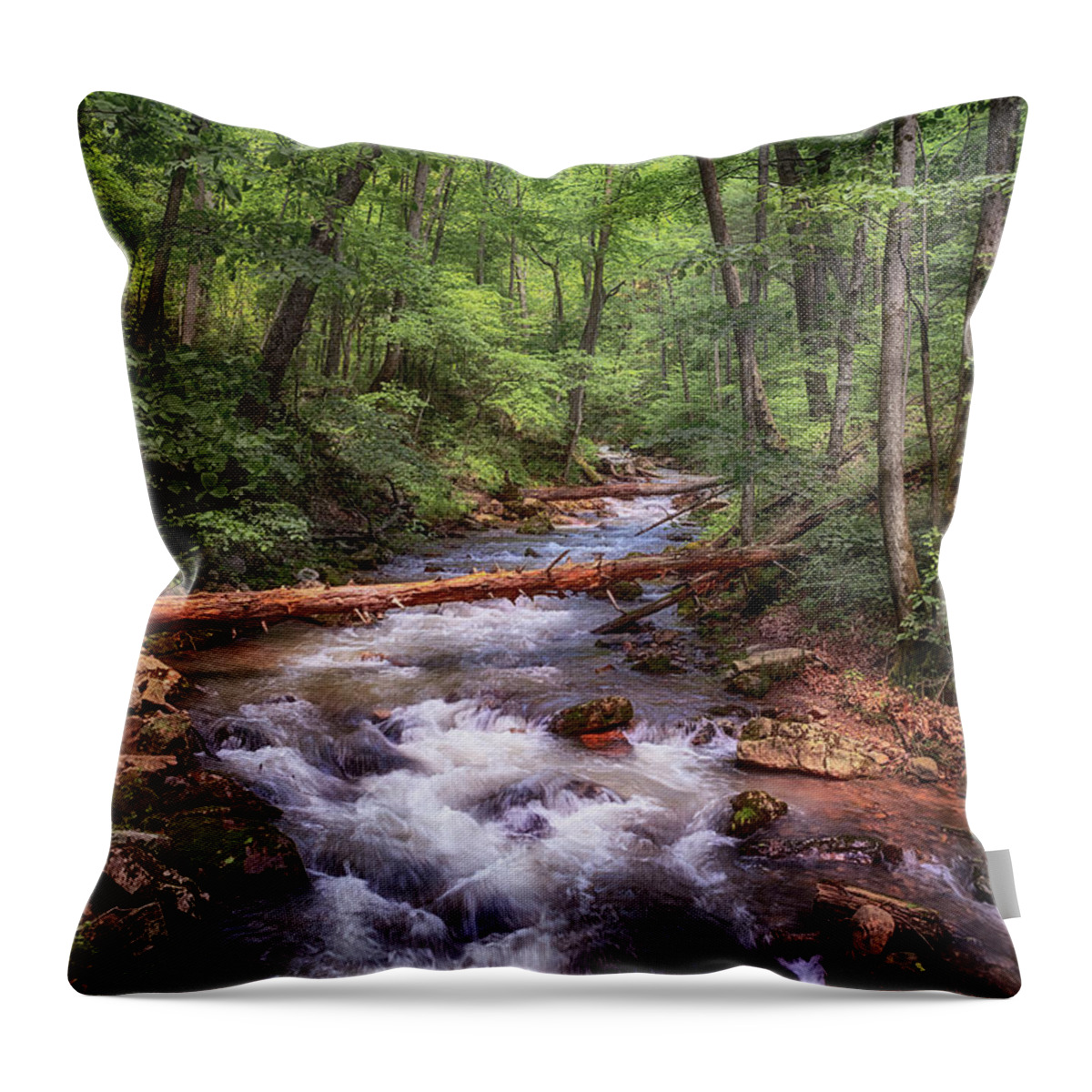 Roaring Run Throw Pillow featuring the photograph Roaring Run Creek - Eagle Rock Virginia by Susan Rissi Tregoning