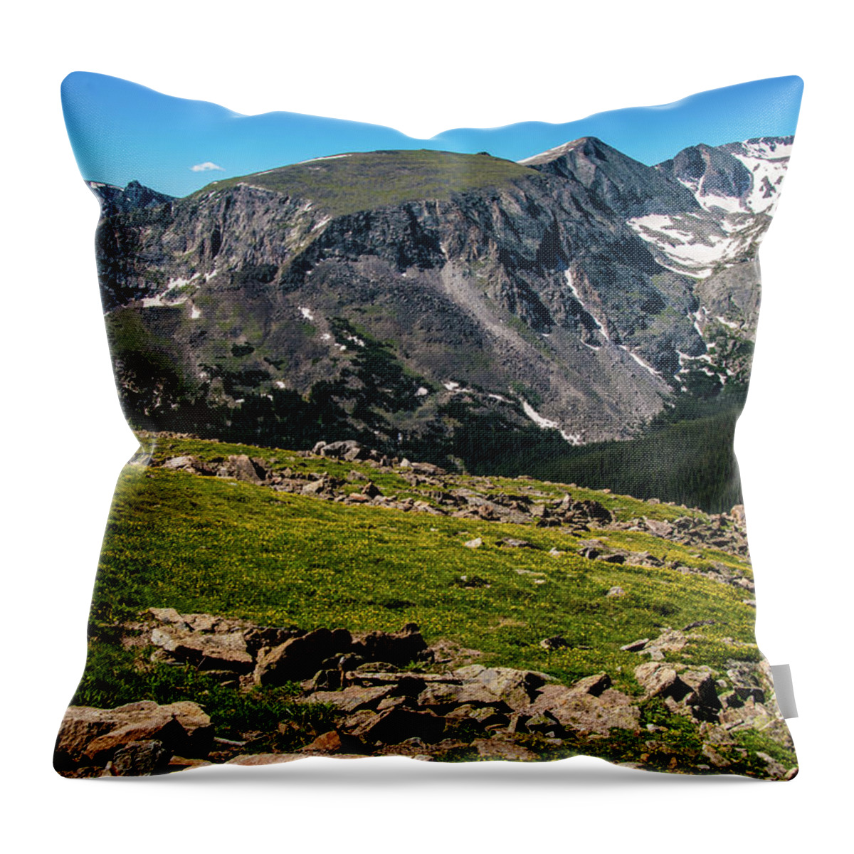 Alpine Throw Pillow featuring the photograph Rock Cut Overlook 2 from Trail Ridge Road, Rocky Mountain National Park, Colorado by Tom Potter