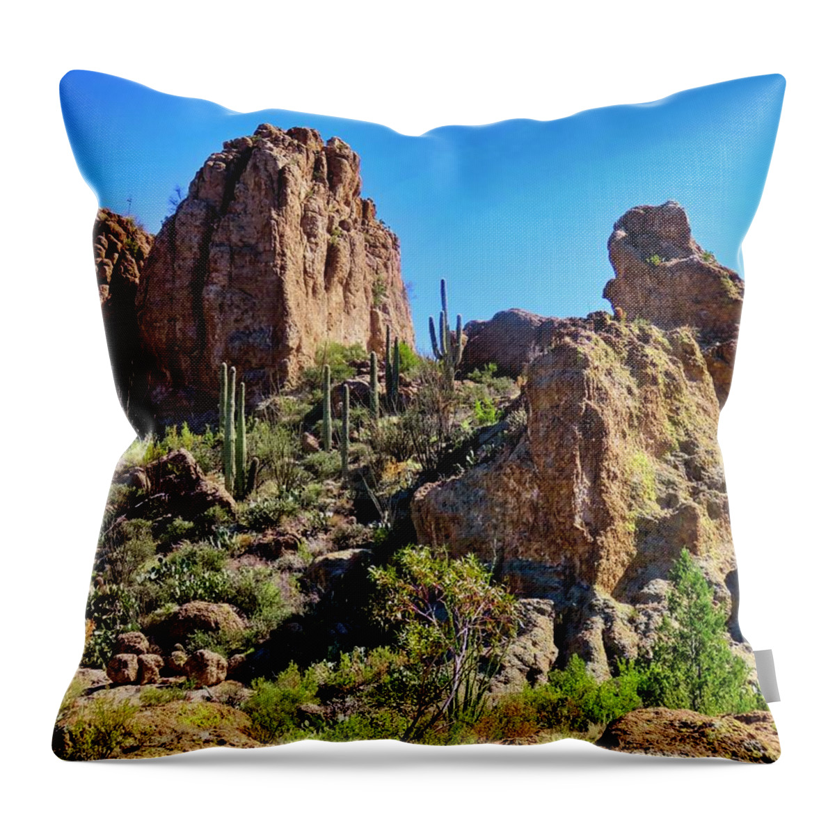 Arboretum Throw Pillow featuring the photograph Rocky HIghrises in the Sonoran Desert by Judy Kennedy