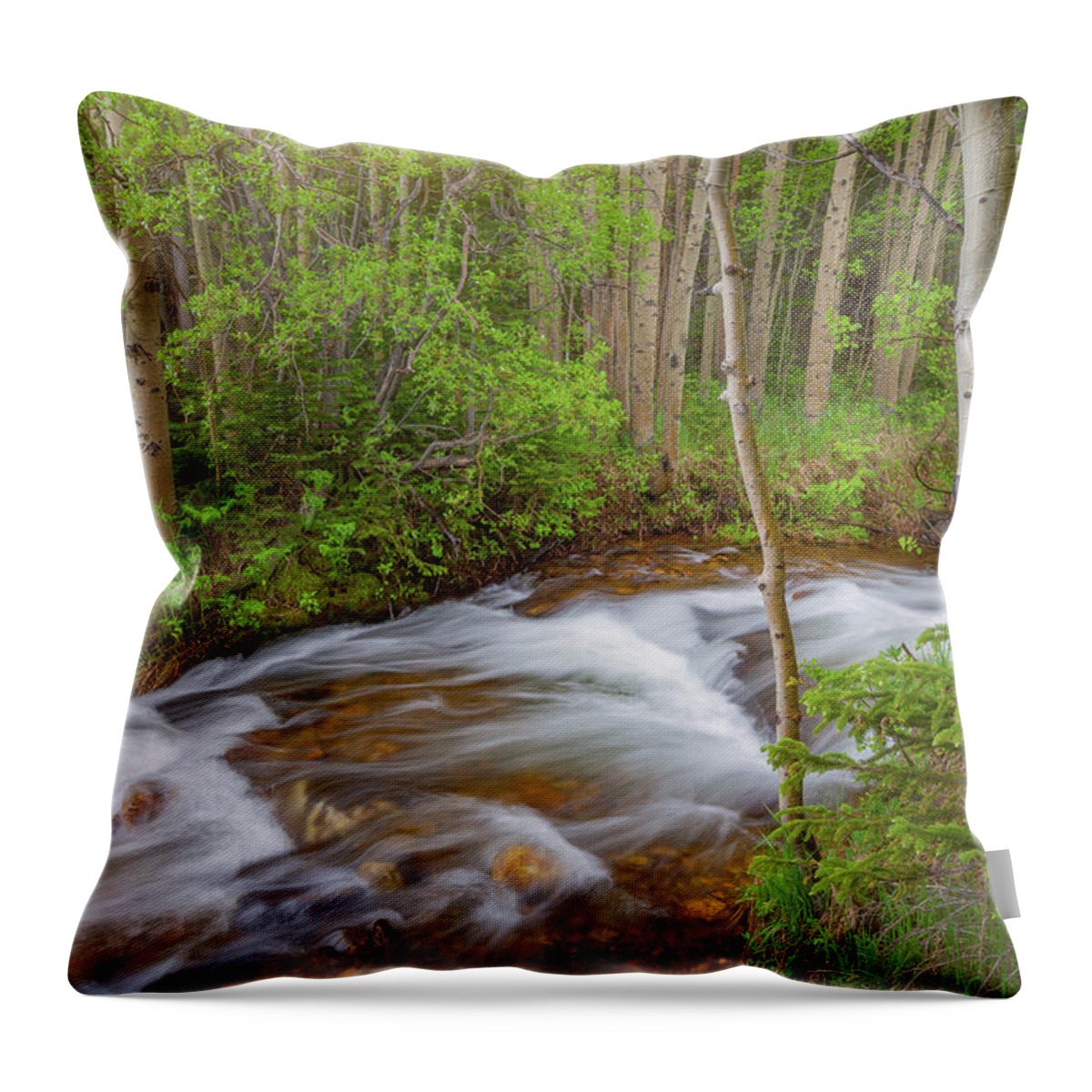 Stream Throw Pillow featuring the photograph Rocky Mountain Stream by Darren White
