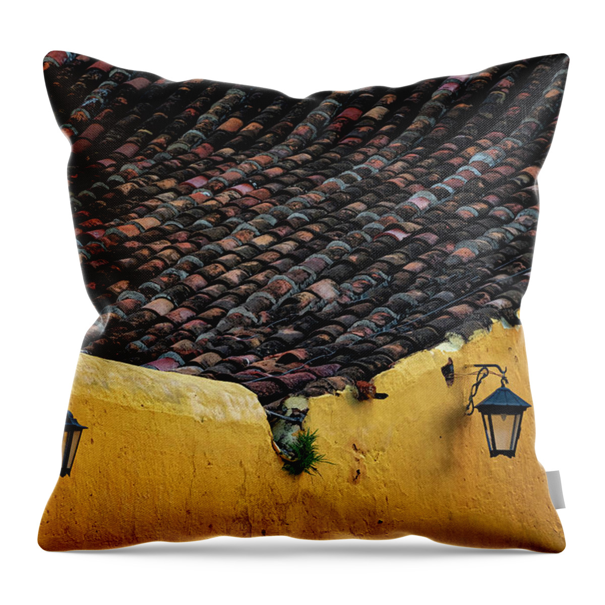Havana Cuba Throw Pillow featuring the photograph Roof And Wall by Tom Singleton