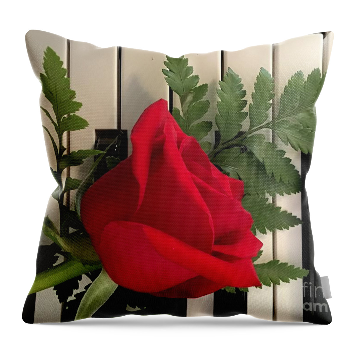 Rose Throw Pillow featuring the photograph Rose and Keyboard featured by Catherine Wilson