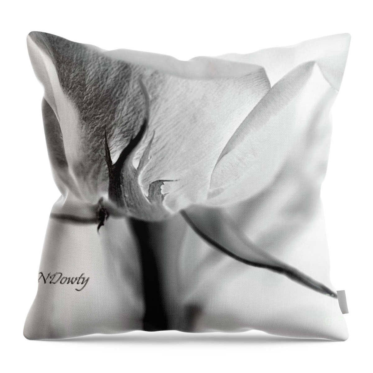 Rose Sepal Bw Throw Pillow featuring the photograph Rose Sepal BW by Natalie Dowty