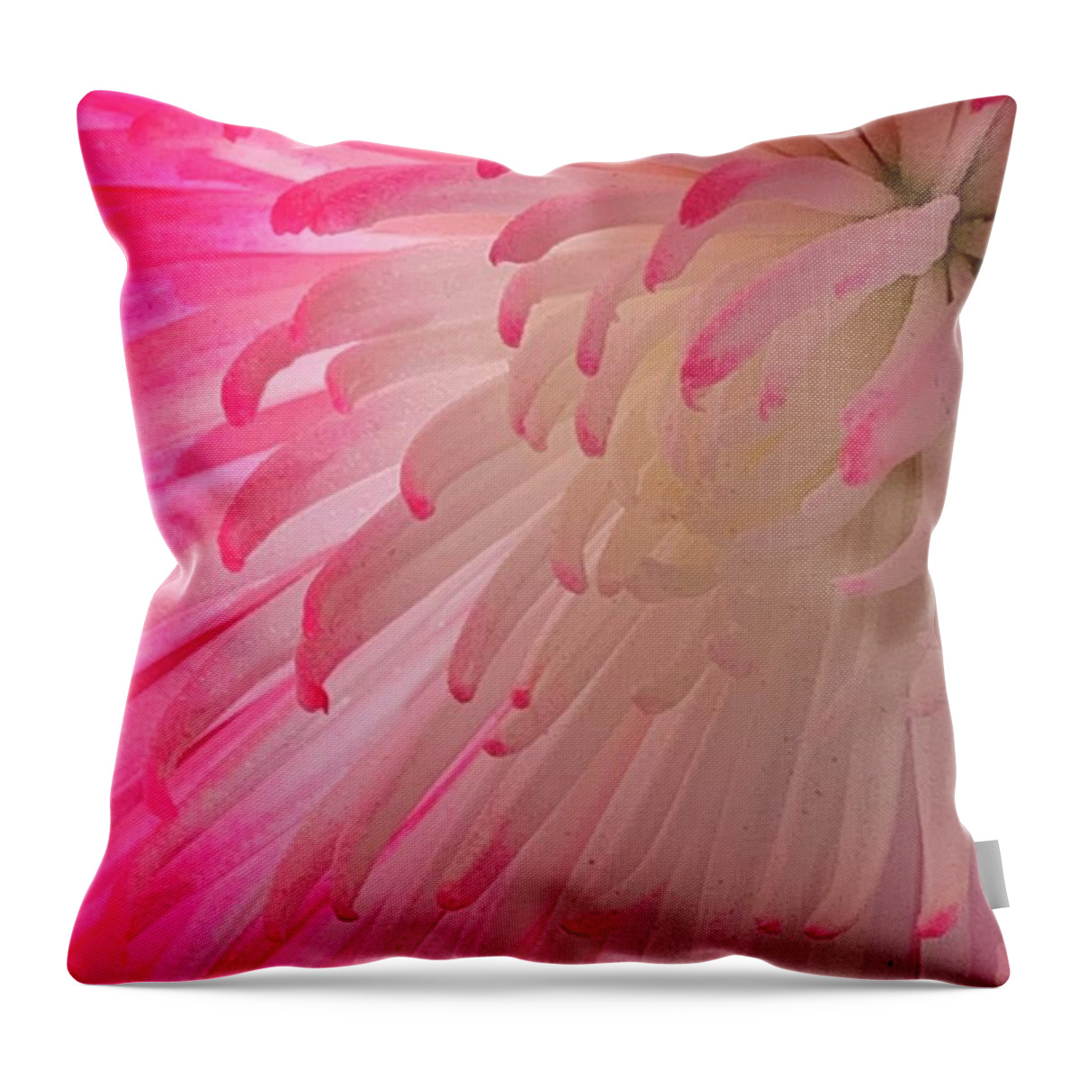 Mum Throw Pillow featuring the photograph Roseate Prayer Honoring The Feast Day Of Saint Jude by Tiesa Wesen