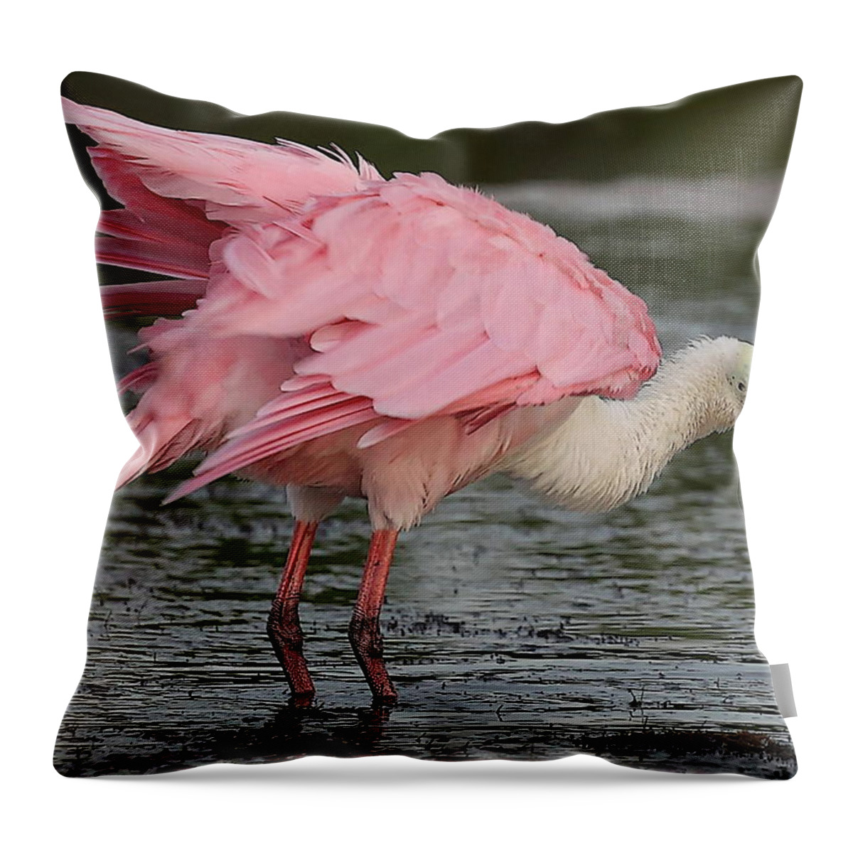 Roseate Spoonbill Throw Pillow featuring the photograph Roseate Spoonbill 14 by Mingming Jiang