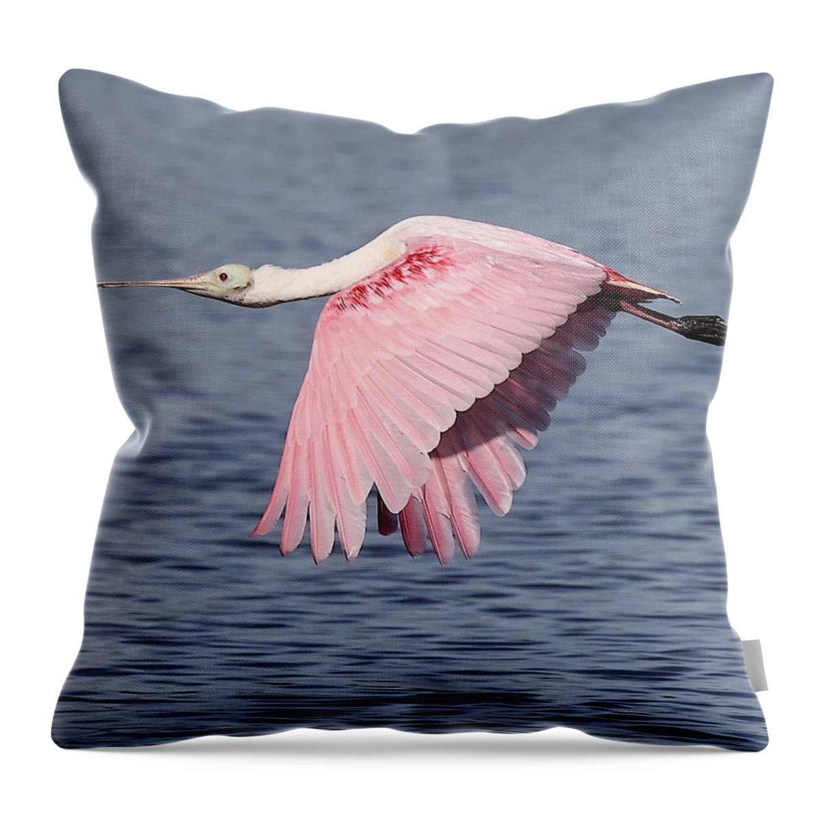 Roseate Spoonbill Throw Pillow featuring the photograph Roseate Spoonbill 6 by Mingming Jiang