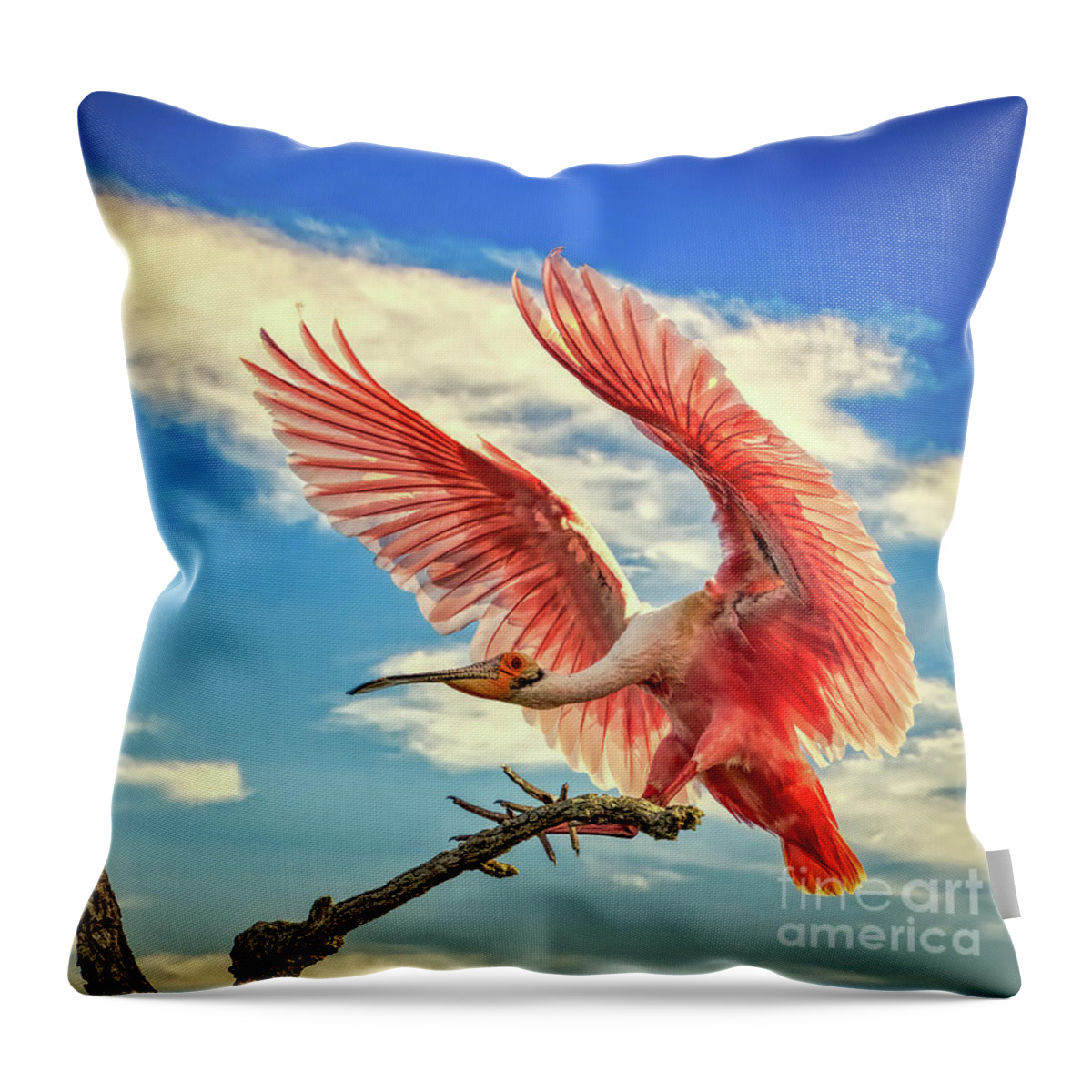 Birds Throw Pillow featuring the photograph Roseate Spoonbill by DB Hayes
