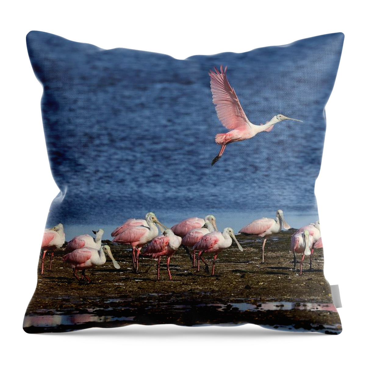 Roseate Spoonbill Throw Pillow featuring the photograph Roseate Spoonbills Gather Together 5 by Mingming Jiang