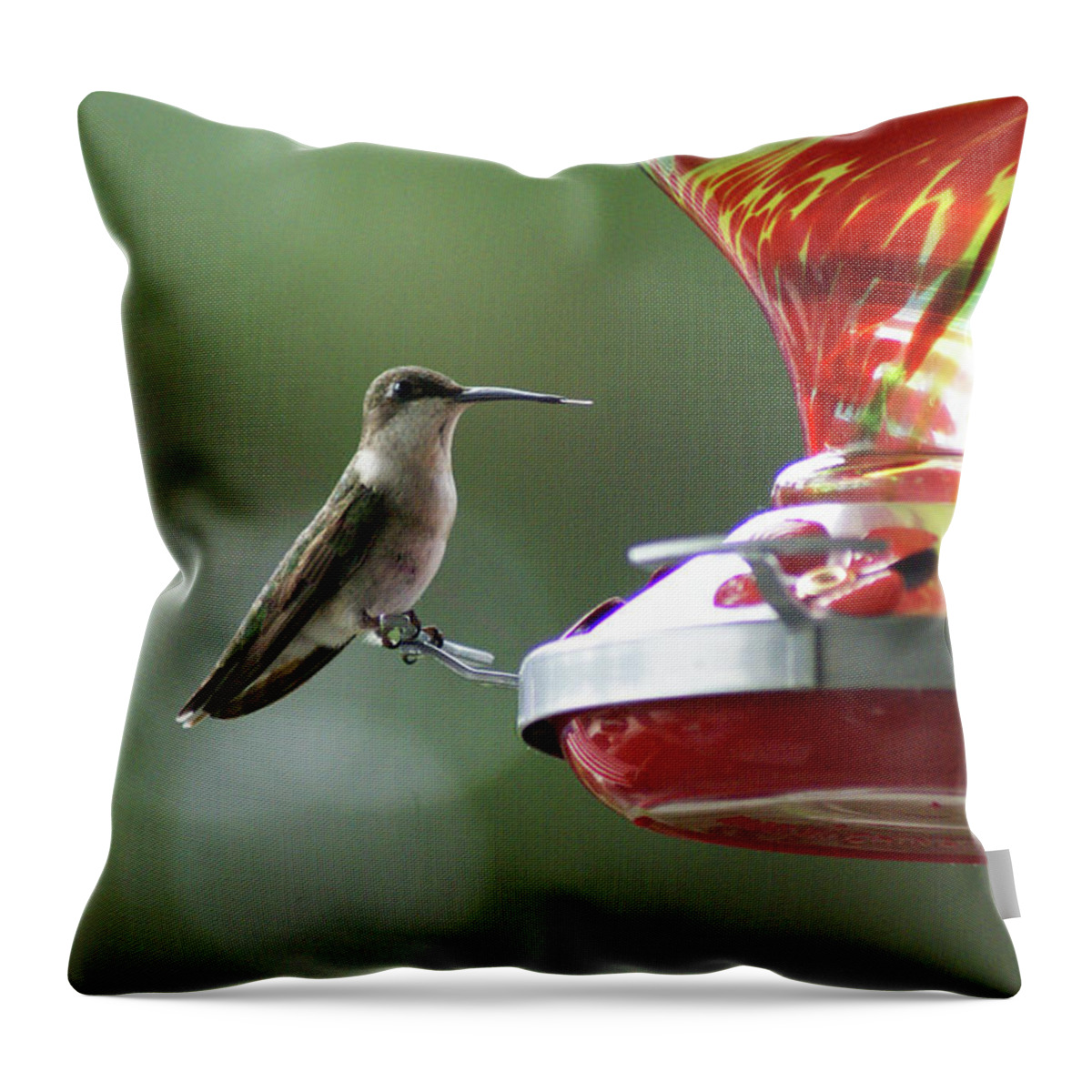  Throw Pillow featuring the photograph Ruby Female by Heather E Harman