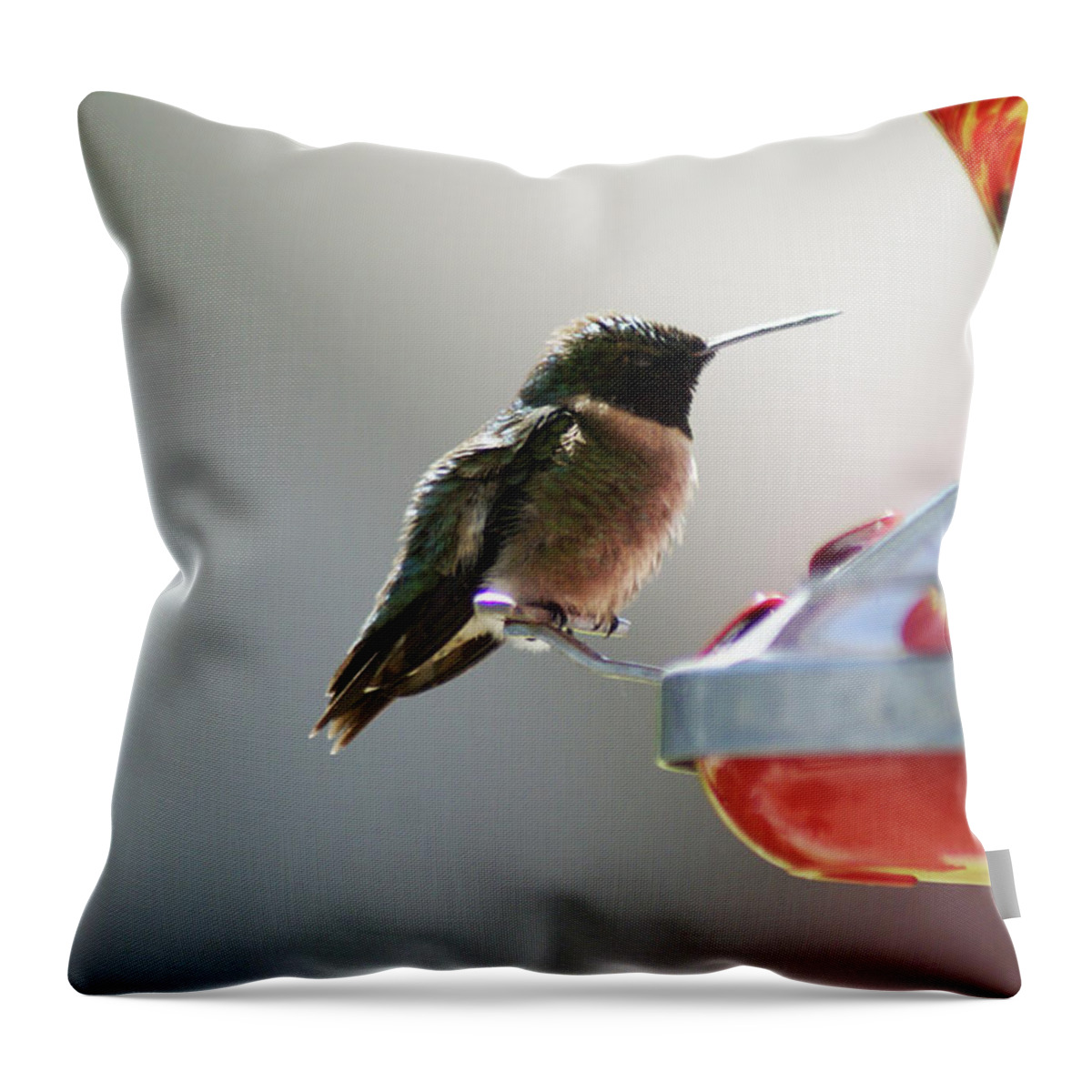  Throw Pillow featuring the photograph Ruby Male by Heather E Harman