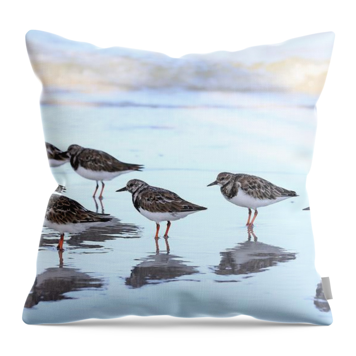 Ruddy Turnstones Throw Pillow featuring the photograph Ruddy Turnstones by Mingming Jiang