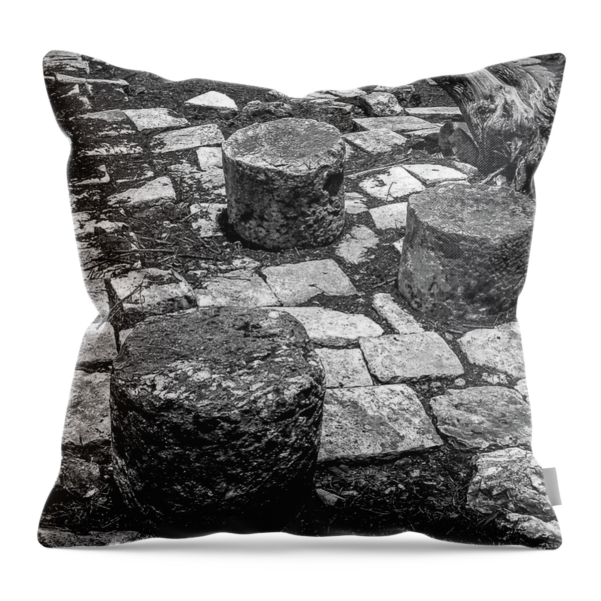 Maya Throw Pillow featuring the photograph Ruins in Chichenitza Mexico by Frank Mari
