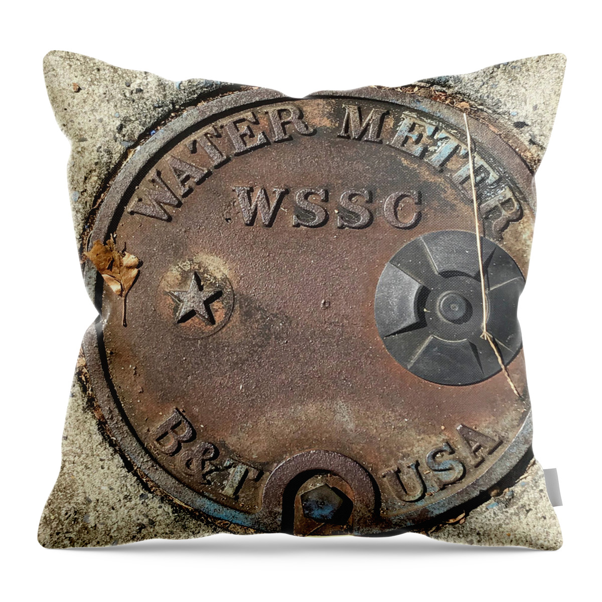 Photograph Throw Pillow featuring the photograph Rusted Water by Richard Wetterauer