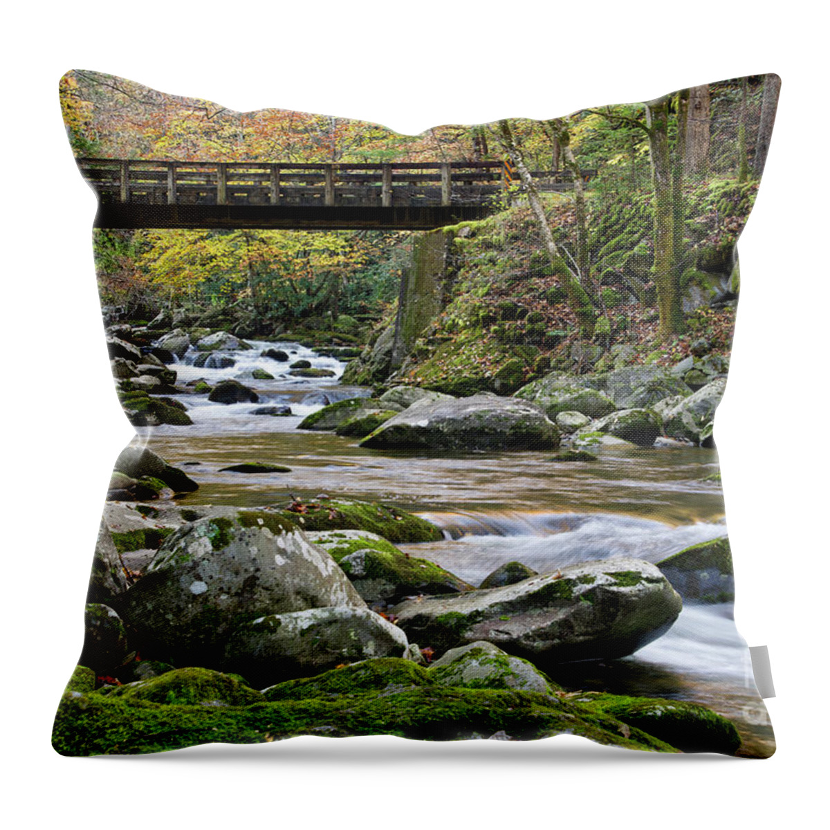 Autumn Throw Pillow featuring the photograph Rustic Wooden Bridge by Phil Perkins