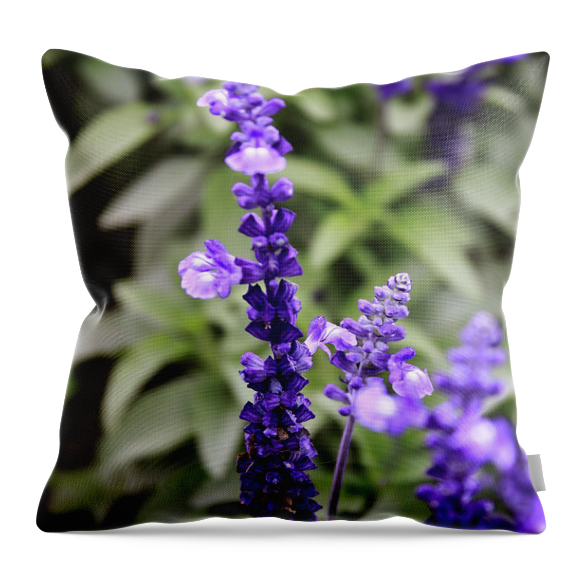 China Throw Pillow featuring the photograph Sage Flowers by Tanya Owens