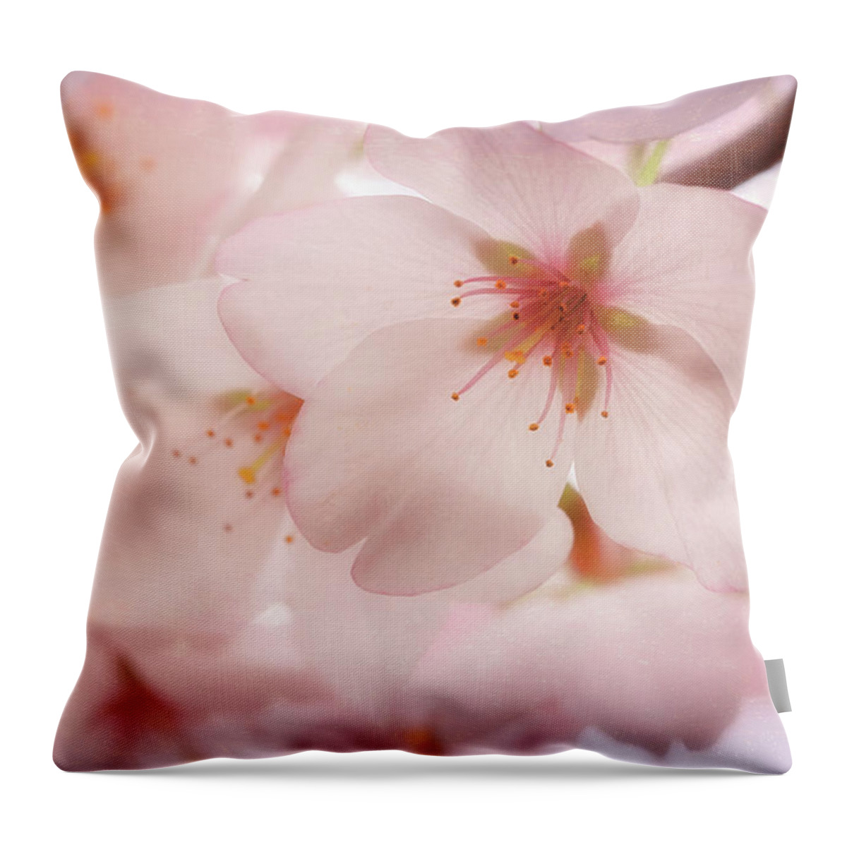 Cherry Blossoms Throw Pillow featuring the photograph Sakura by Susan Rissi Tregoning