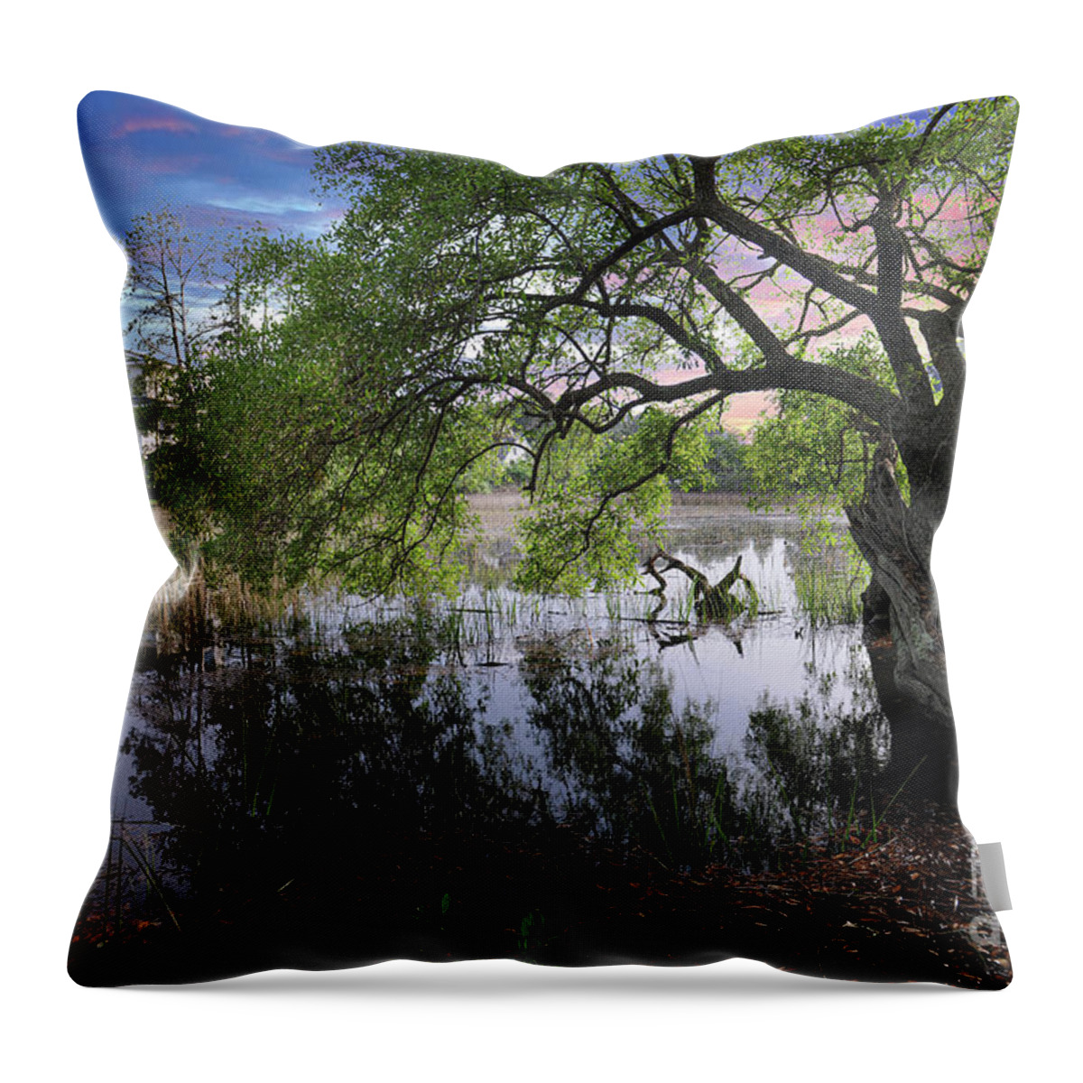 Salt Marsh Throw Pillow featuring the photograph Salt Marsh - Sunset - Live Oak Tree by Dale Powell