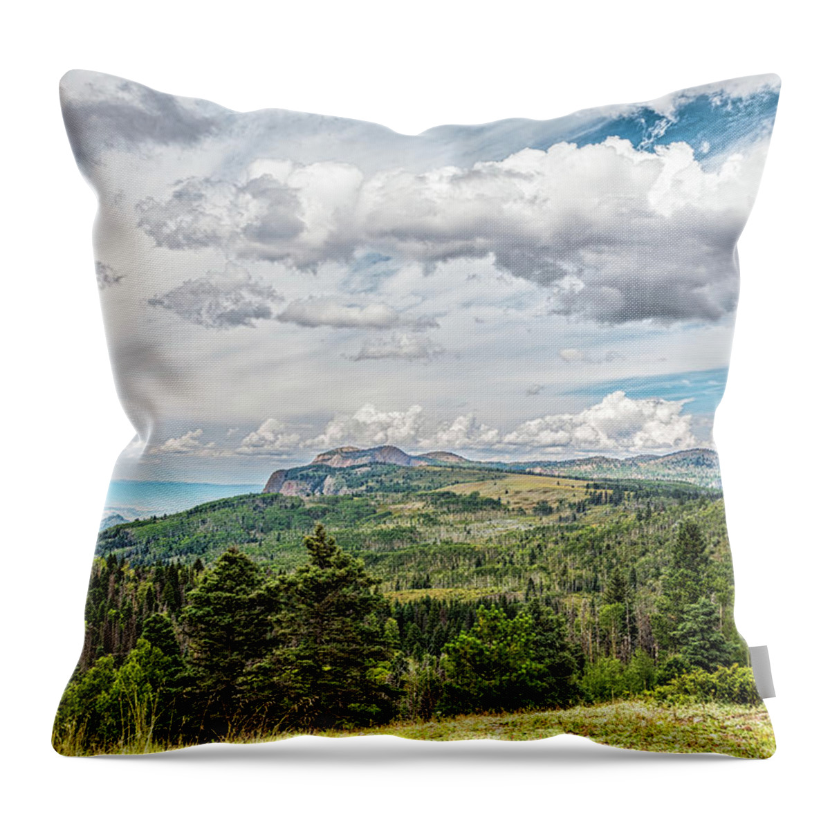 Landscape Throw Pillow featuring the photograph San Juan Mountains New Mexico by Debra Martz