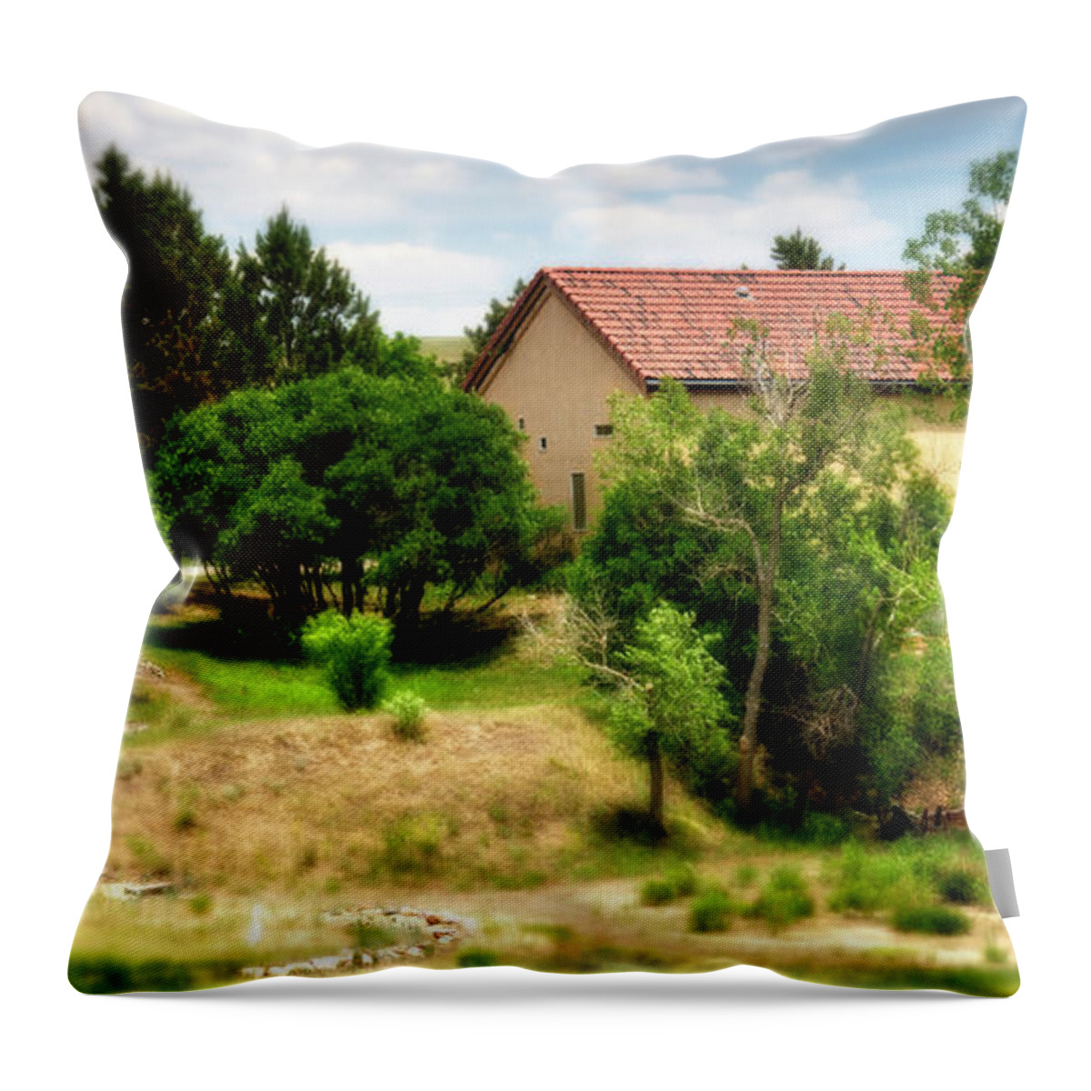 Fine Art Photography Throw Pillow featuring the photograph Sanctuary by John Strong