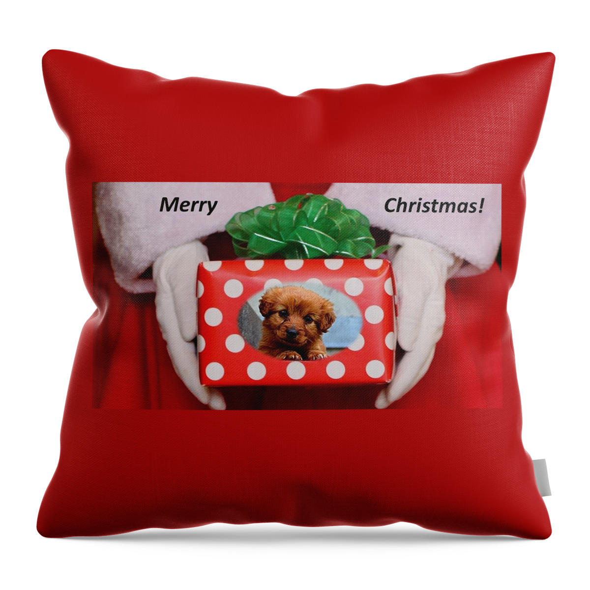 Christmas Throw Pillow featuring the photograph Santa Brings A Puppy by Nancy Ayanna Wyatt