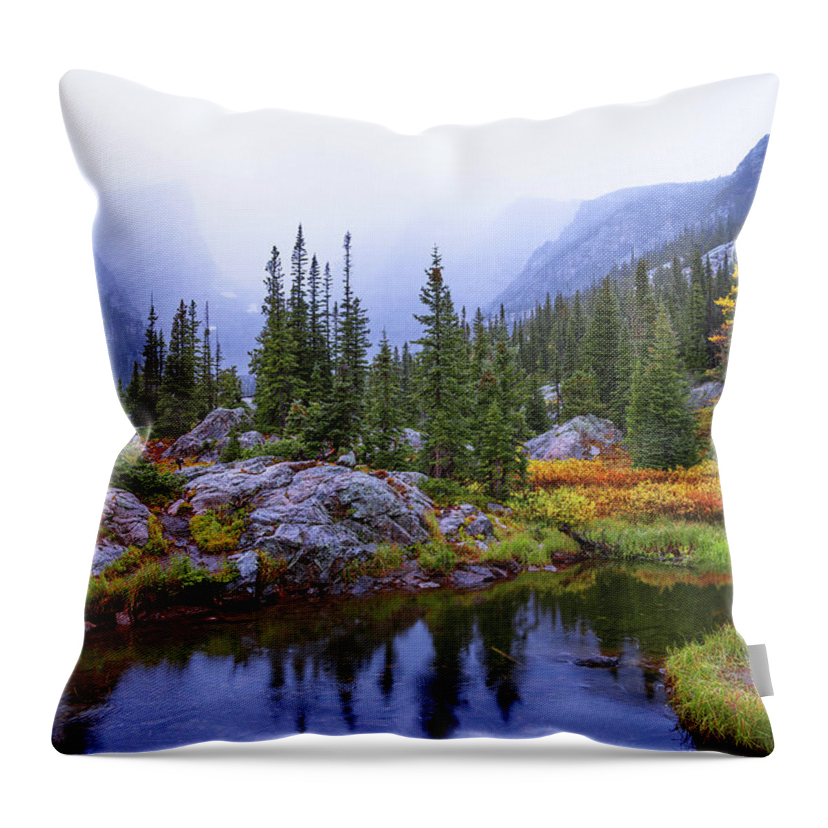 Saturated Forest Nature Forest Wilderness Wild Rocky Mountain National Park Rmnp Colorado American West West Rocky Rockies Mountain Mountains Tree Trees Pine Pines Pond Lake Light Reflection Storm Rain Fall Autumn Season Landscape Waterscape Forestscape Overcast Chad Dutson Saturation Wet Throw Pillow featuring the photograph Saturated Forest by Chad Dutson
