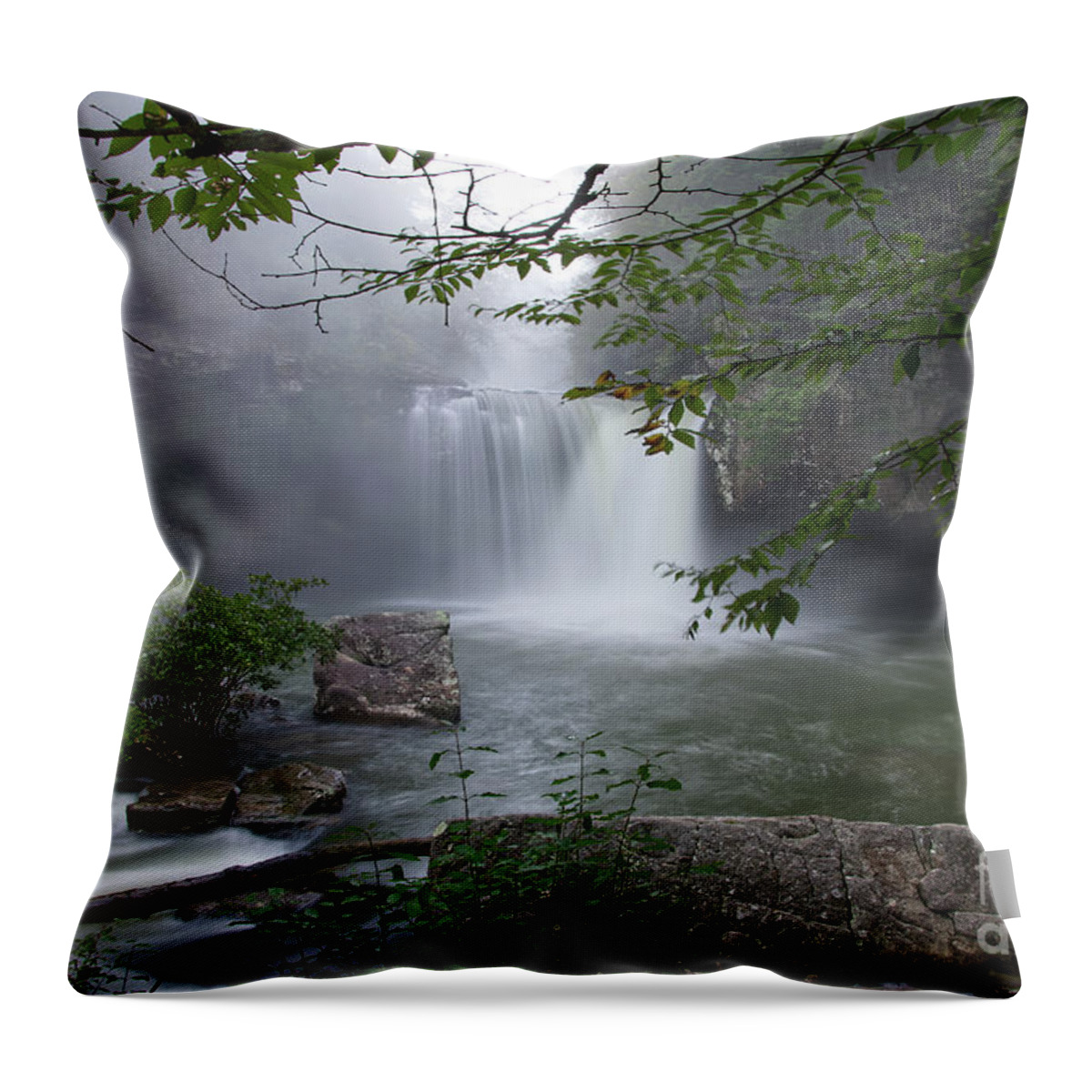 Savage Falls Throw Pillow featuring the photograph Savage Falls 21 by Phil Perkins