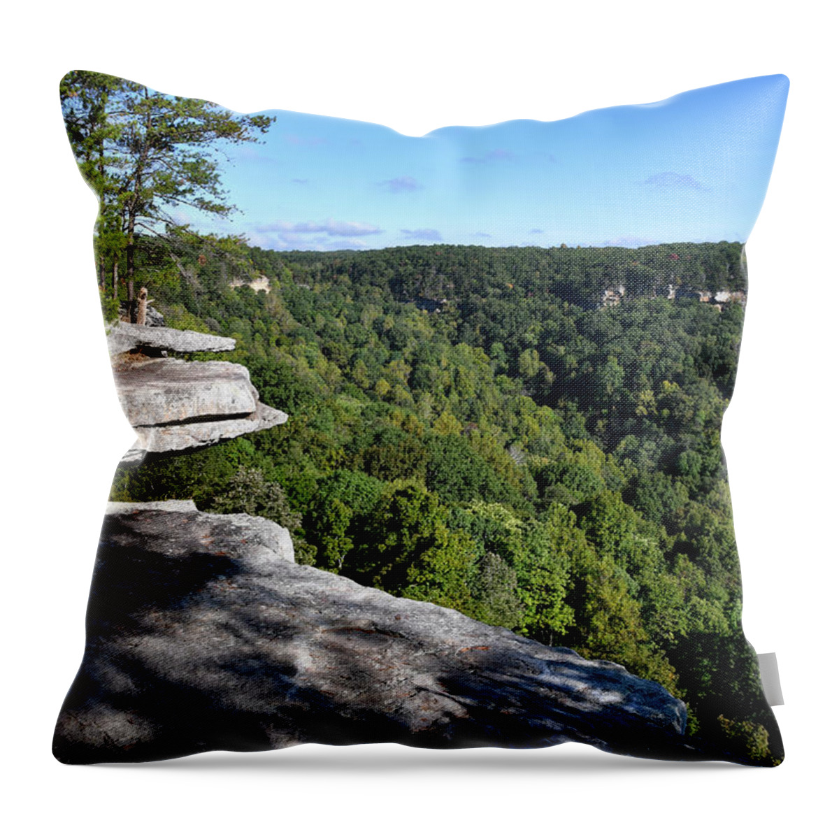 Savage Gulf Throw Pillow featuring the photograph Savage Gulf 10 by Phil Perkins