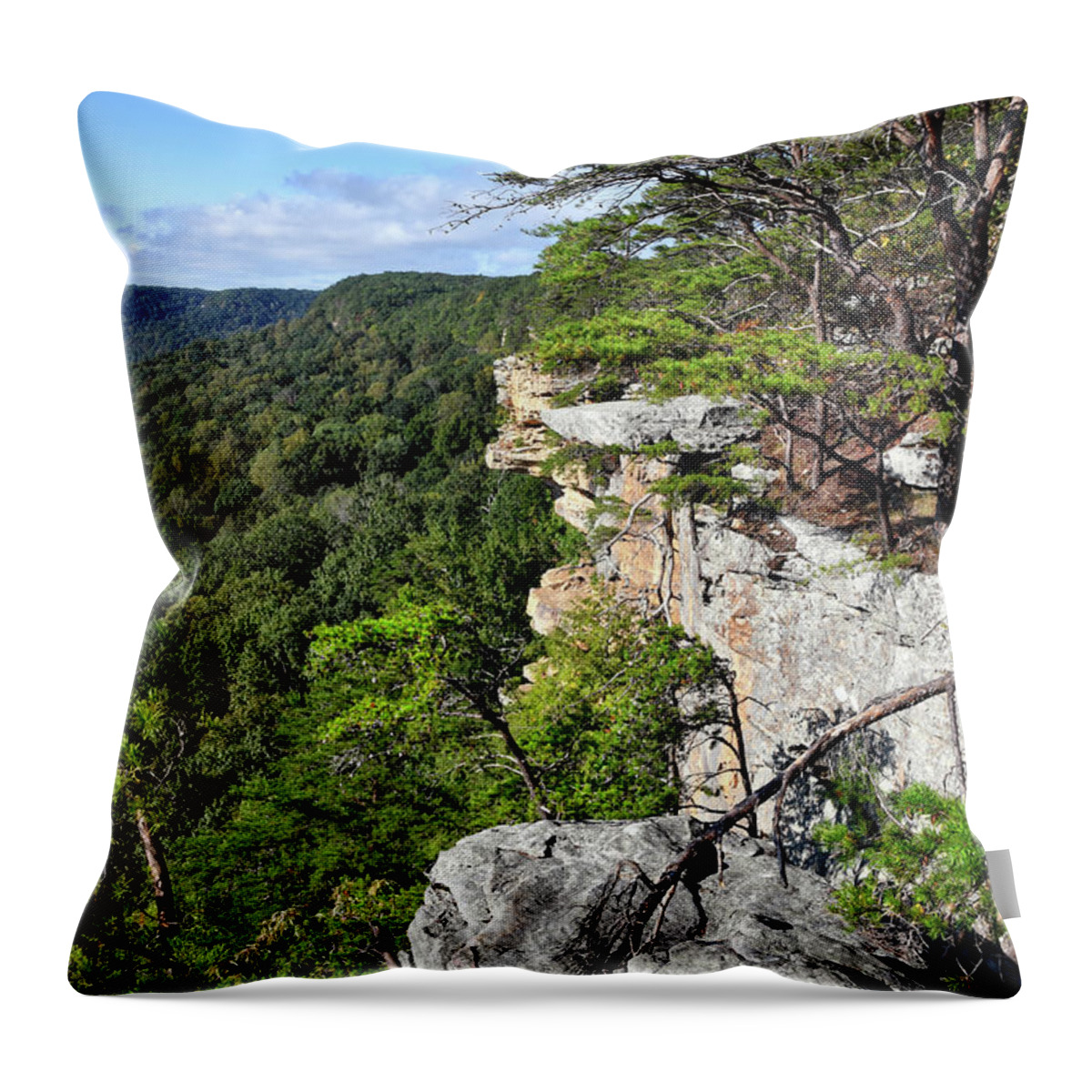 Savage Gulf Throw Pillow featuring the photograph Savage Gulf 23 by Phil Perkins