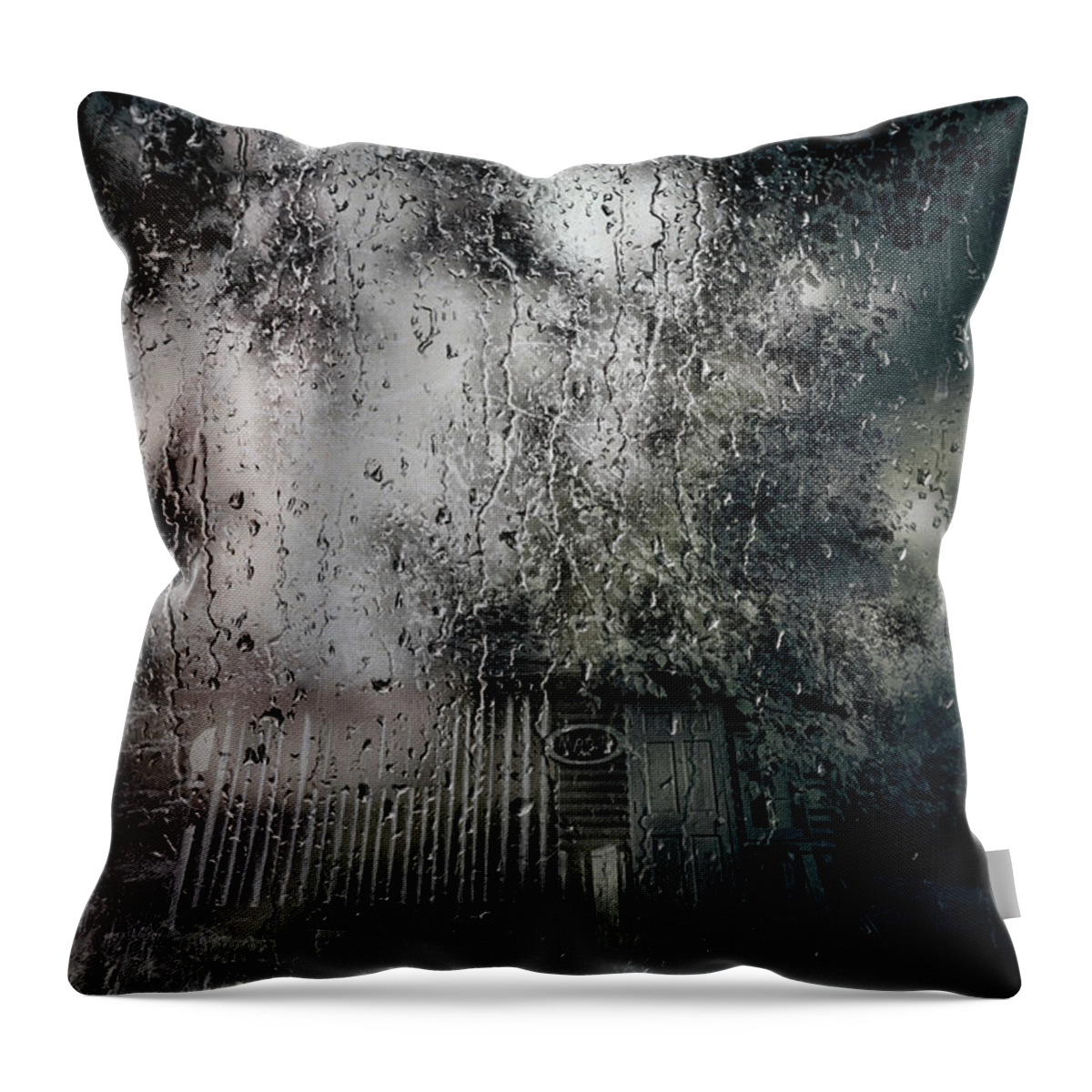  Throw Pillow featuring the photograph Scarred Porch. Warm Kitchen. by Cynthia Dickinson