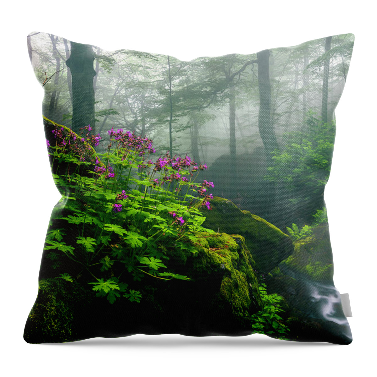 Geranium Throw Pillow featuring the photograph Scent of Spring by Evgeni Dinev