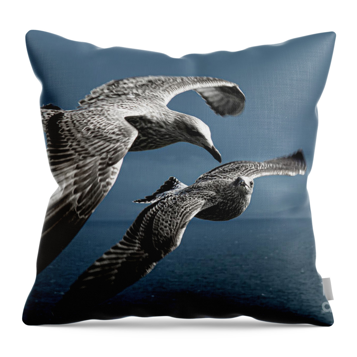 Bird Throw Pillow featuring the photograph Seagulls Flying Formation by Andreas Berthold