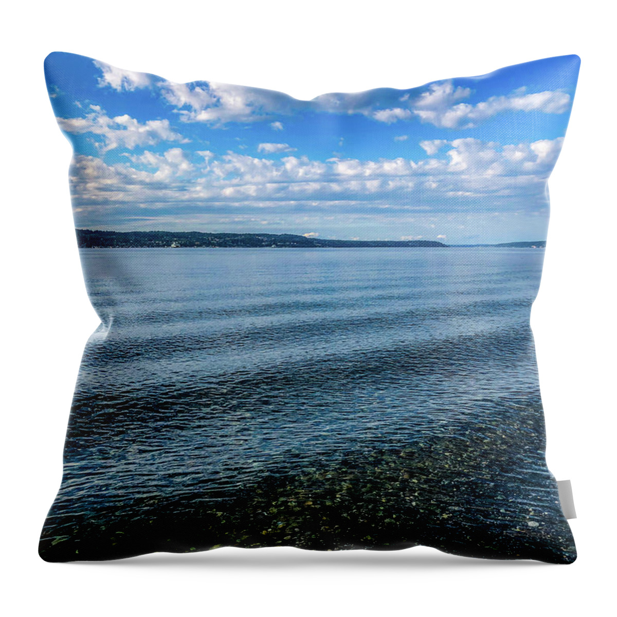 Seashore Throw Pillow featuring the photograph Seashore by Anamar Pictures