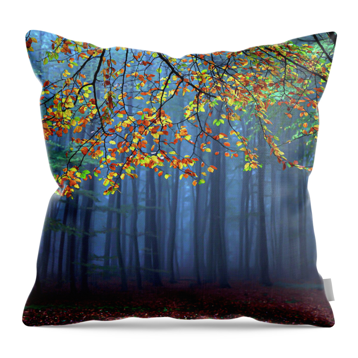 Autumn Throw Pillow featuring the photograph Seconds Before The Light Went Out by Roeselien Raimond