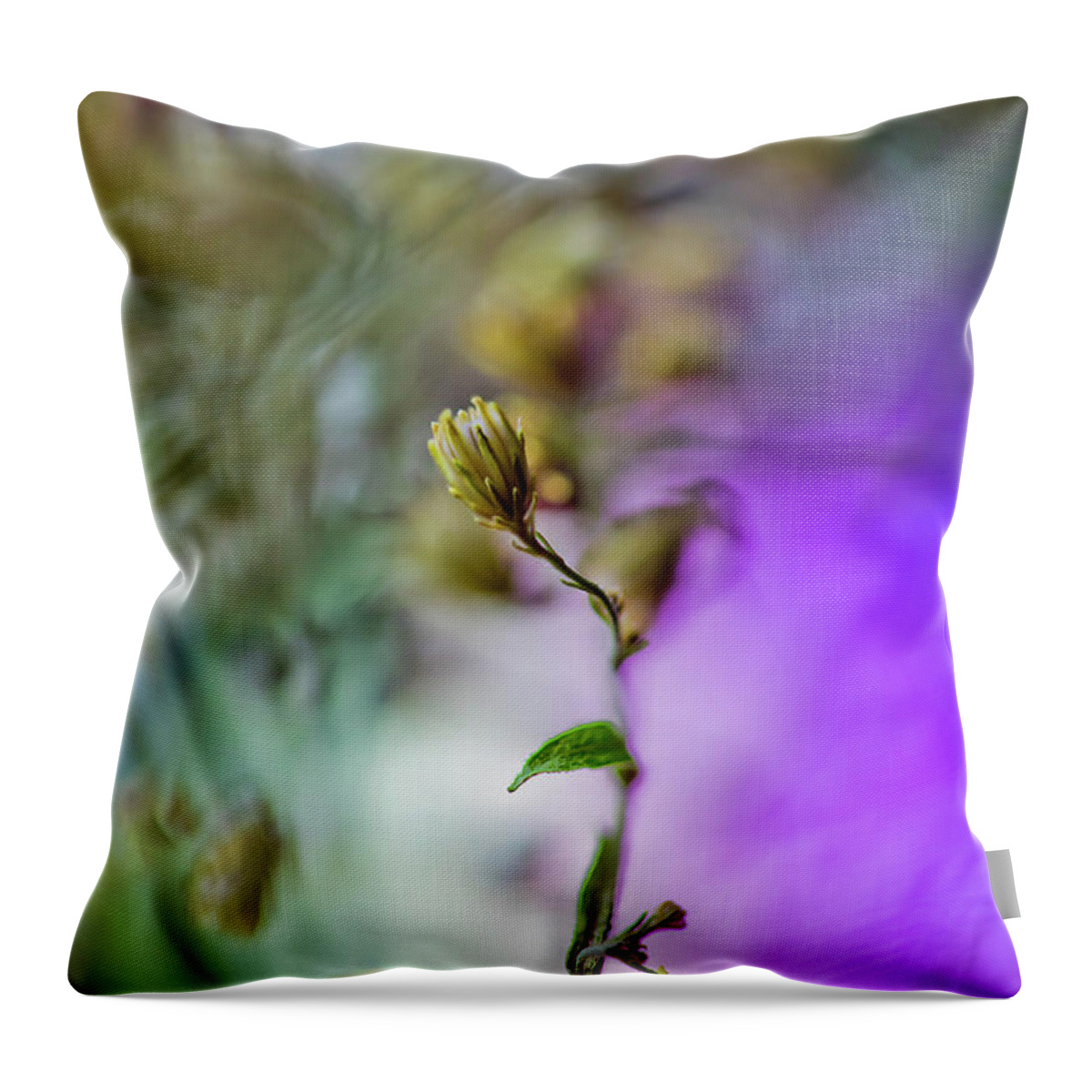 Abstract Flower Photograph Throw Pillow featuring the photograph Self Isolated by Az Jackson