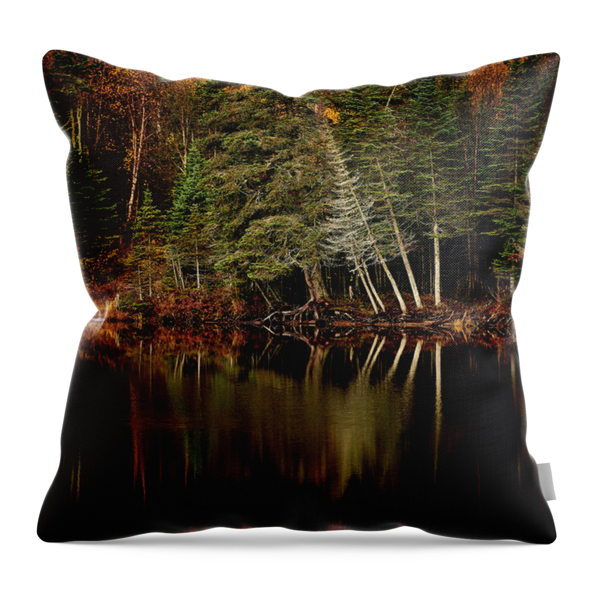 Canada Throw Pillow featuring the photograph Sensuous by Doug Gibbons
