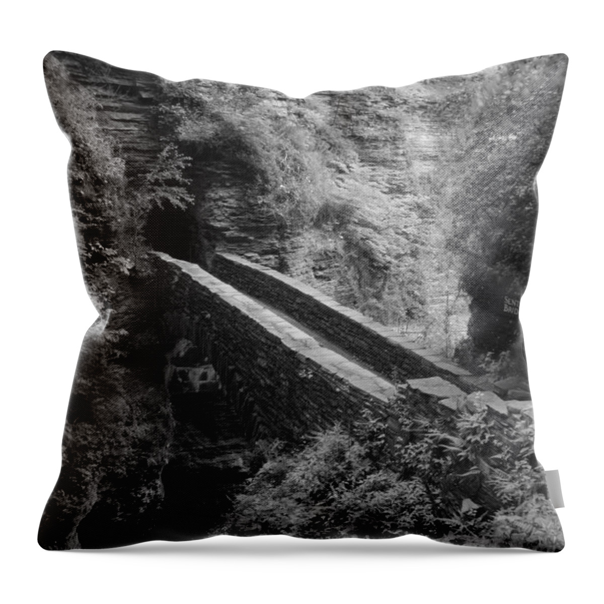 Nunweiler Throw Pillow featuring the photograph Sentry Bridge at Watkins Glen by Nunweiler Photography