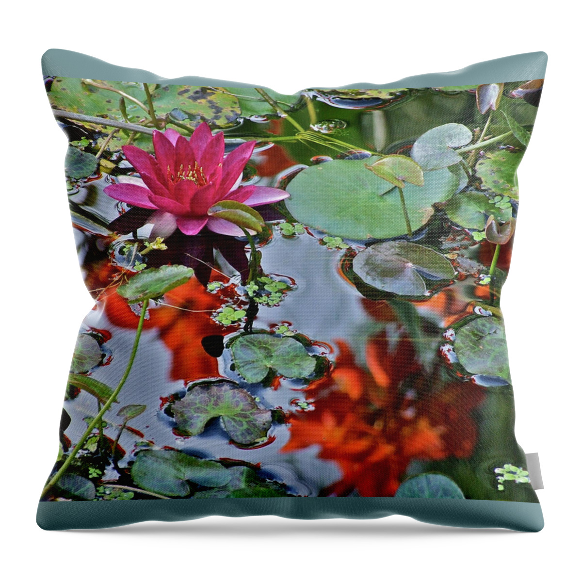Waterlily: Water Garden Throw Pillow featuring the photograph September Rose Water Lily 1 by Janis Senungetuk