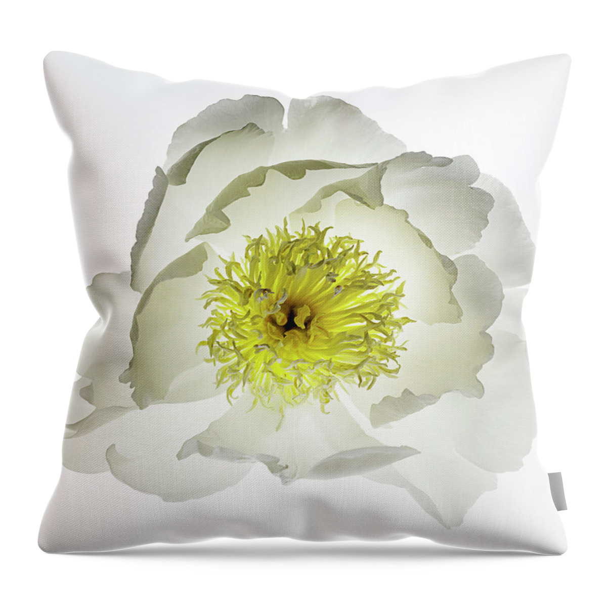 Serenity - Square and Horizontal Decorative Throw Pillow