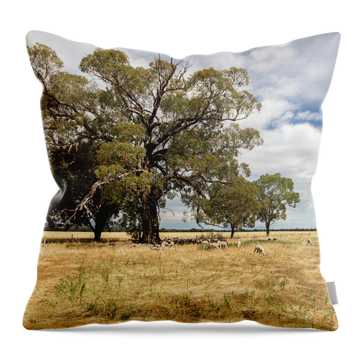 Paddock Throw Pillow featuring the photograph Shade, anywhere you can get it by Linda Lees