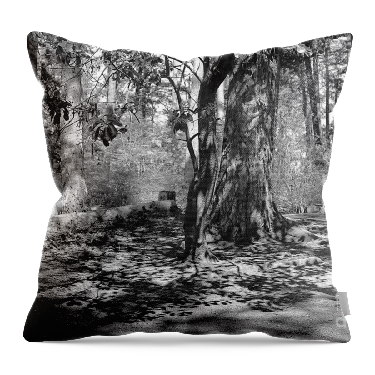 Shadow Throw Pillow featuring the photograph Shadow of Leaves by Kimberly Furey