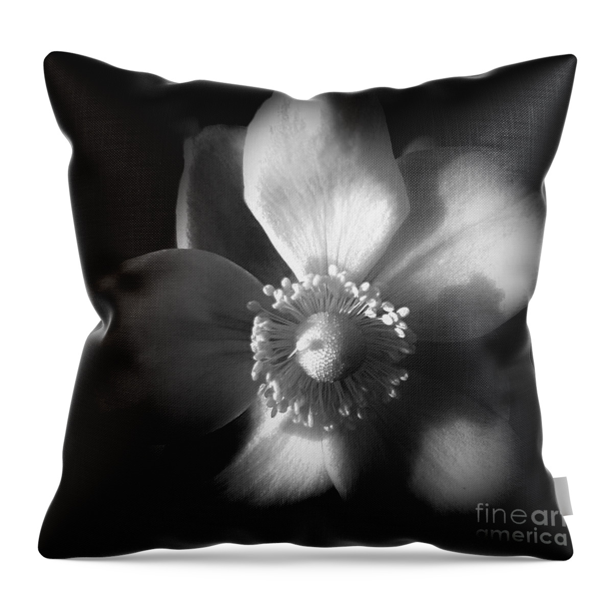 Photo Throw Pillow featuring the photograph Shadows Upon Me by Tracey Lee Cassin