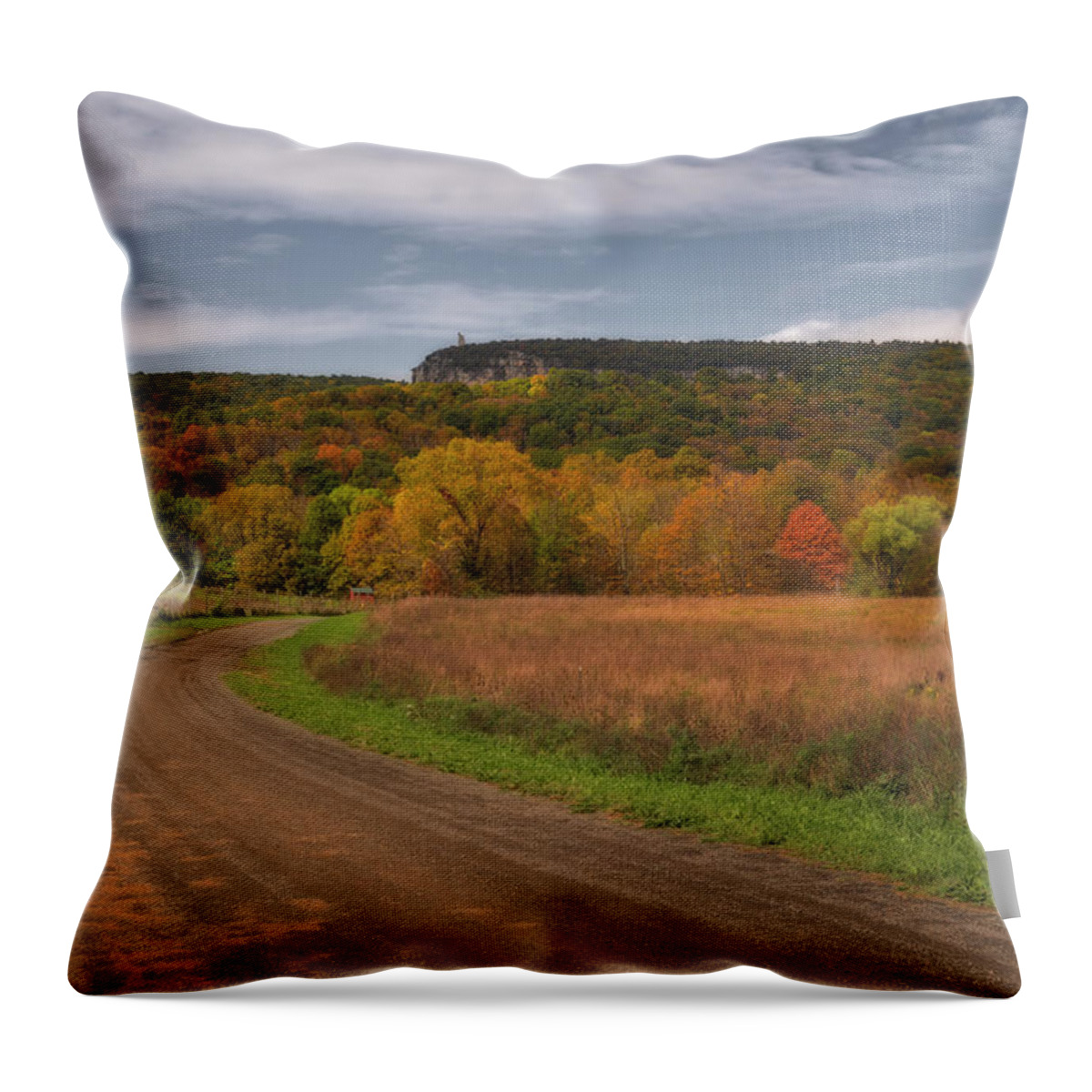 Shawangunk Throw Pillow featuring the photograph Shawangunk Mountain Hudson Valley NY by Susan Candelario