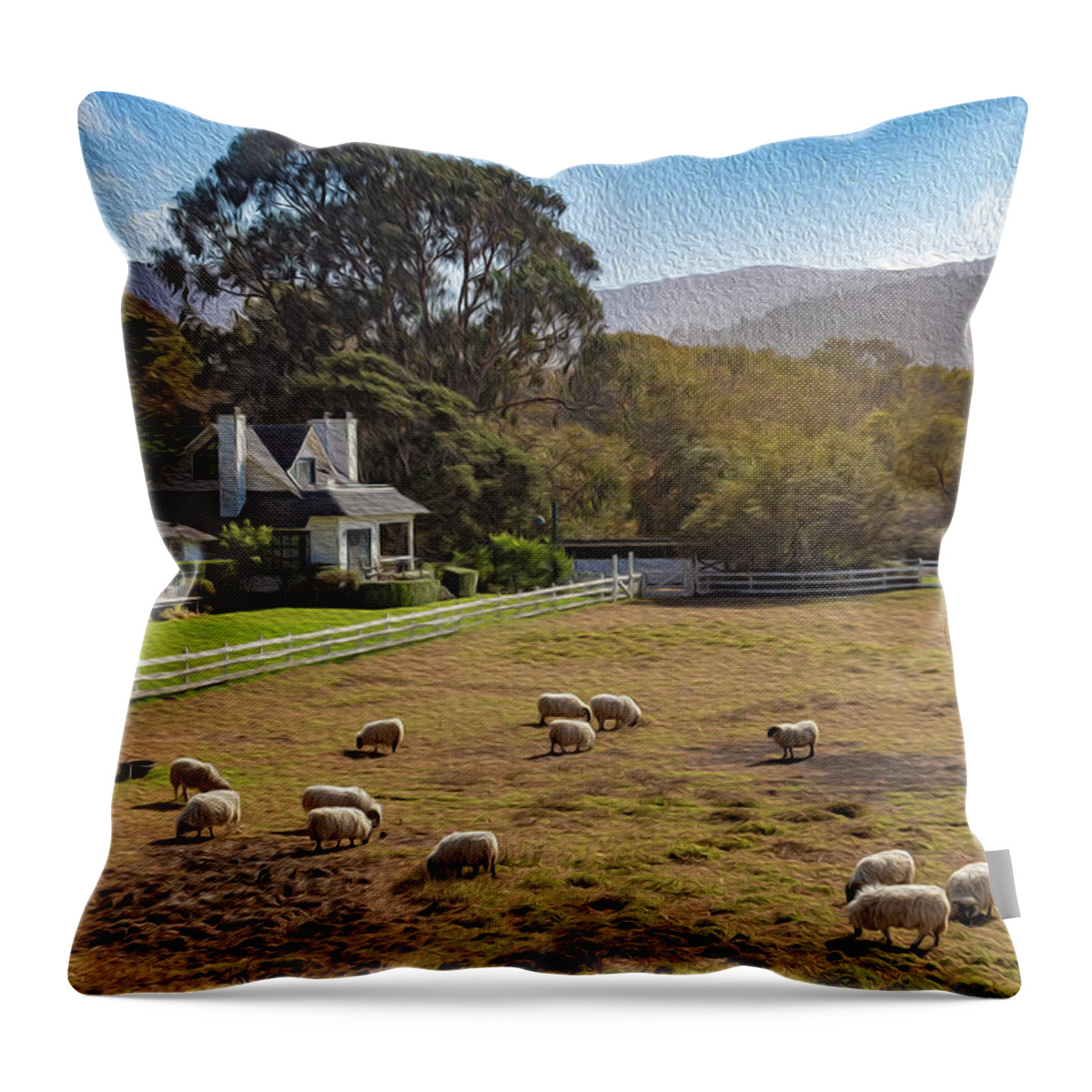 Digital Paintings Throw Pillow featuring the photograph Sheep at Mission Ranch by Robert Carter