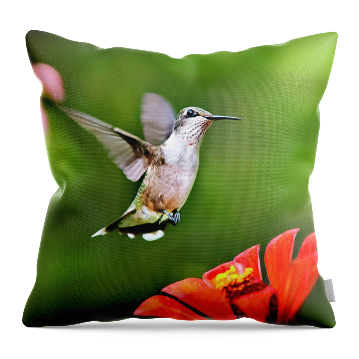 Hummingbird Throw Pillow featuring the photograph Shimmering Breeze Hummingbird by Christina Rollo