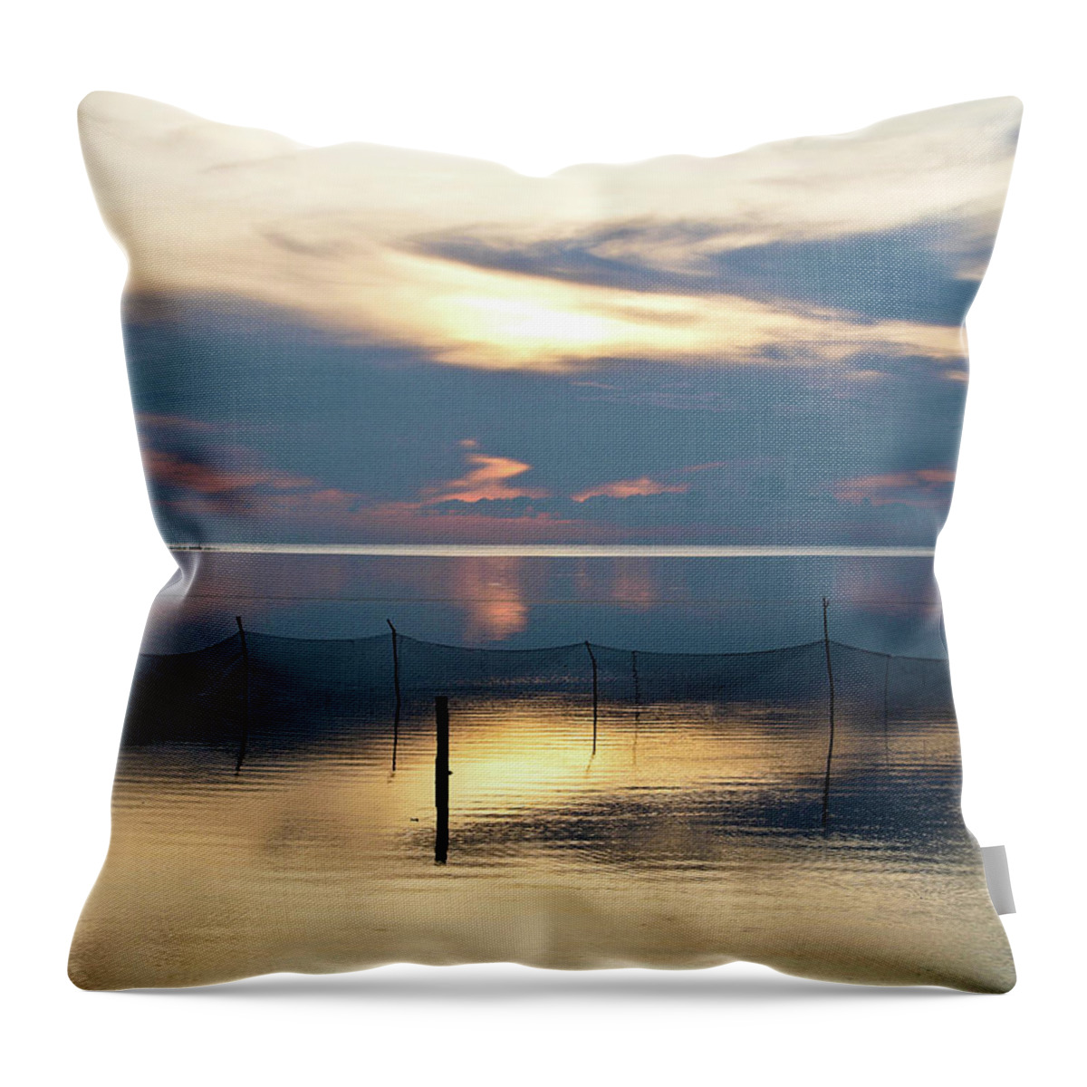 Asia Throw Pillow featuring the photograph Shimmering Dawn by David Desautel