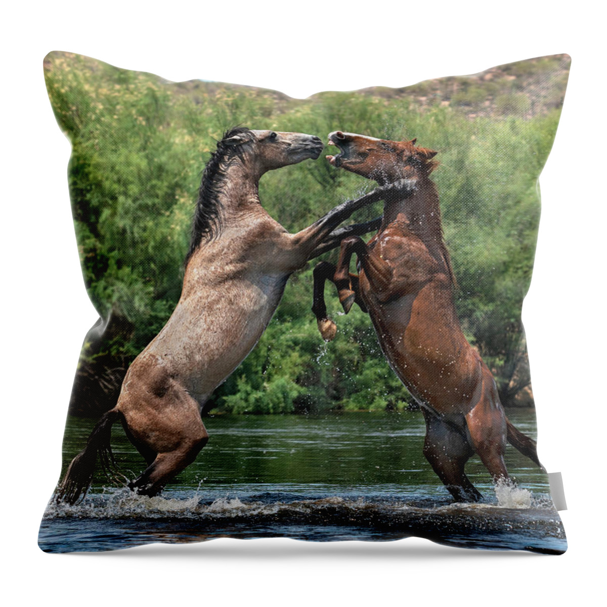 Stallion Throw Pillow featuring the photograph Showtime. by Paul Martin