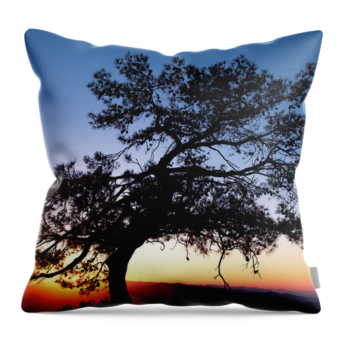 Cyprus Throw Pillow featuring the photograph Silhouette of a forest pine tree during blue hour with bright sun at sunset. by Michalakis Ppalis
