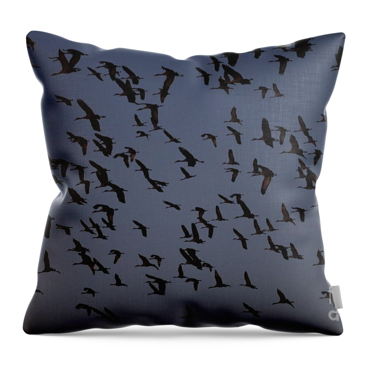 Silhouette Sandhills Throw Pillow featuring the photograph Silhouetted Sandhills by Paula Guttilla